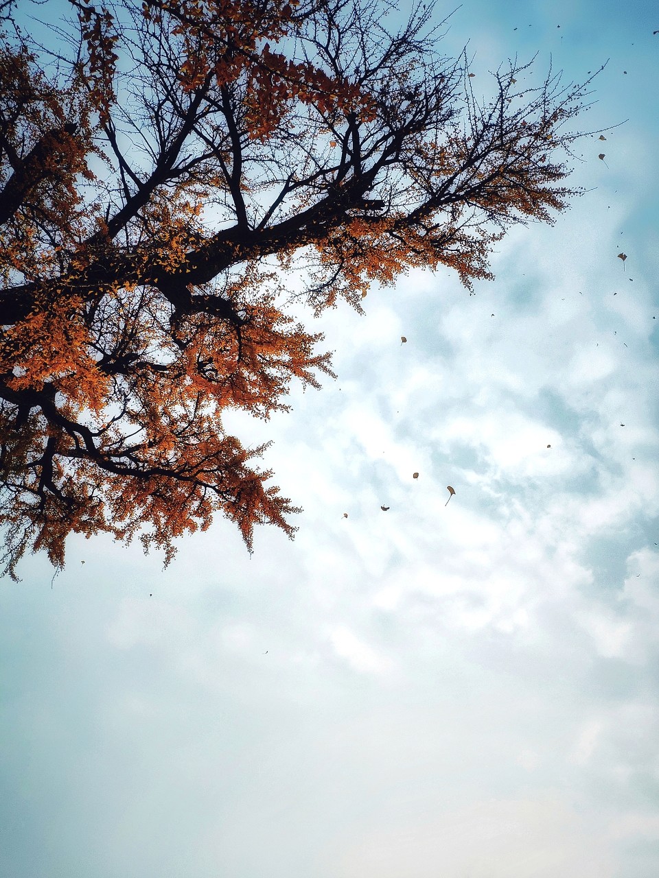 hexo 迁移到树莓派遇到大坑