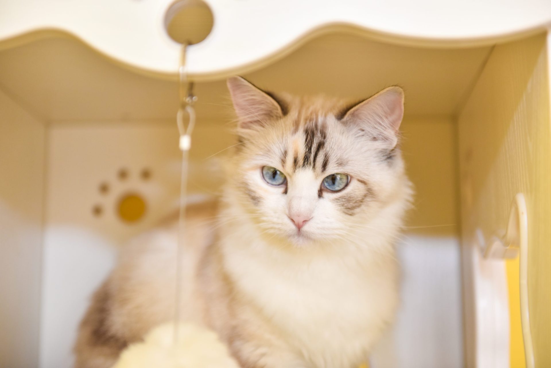 树莓派4B 4G安装docker