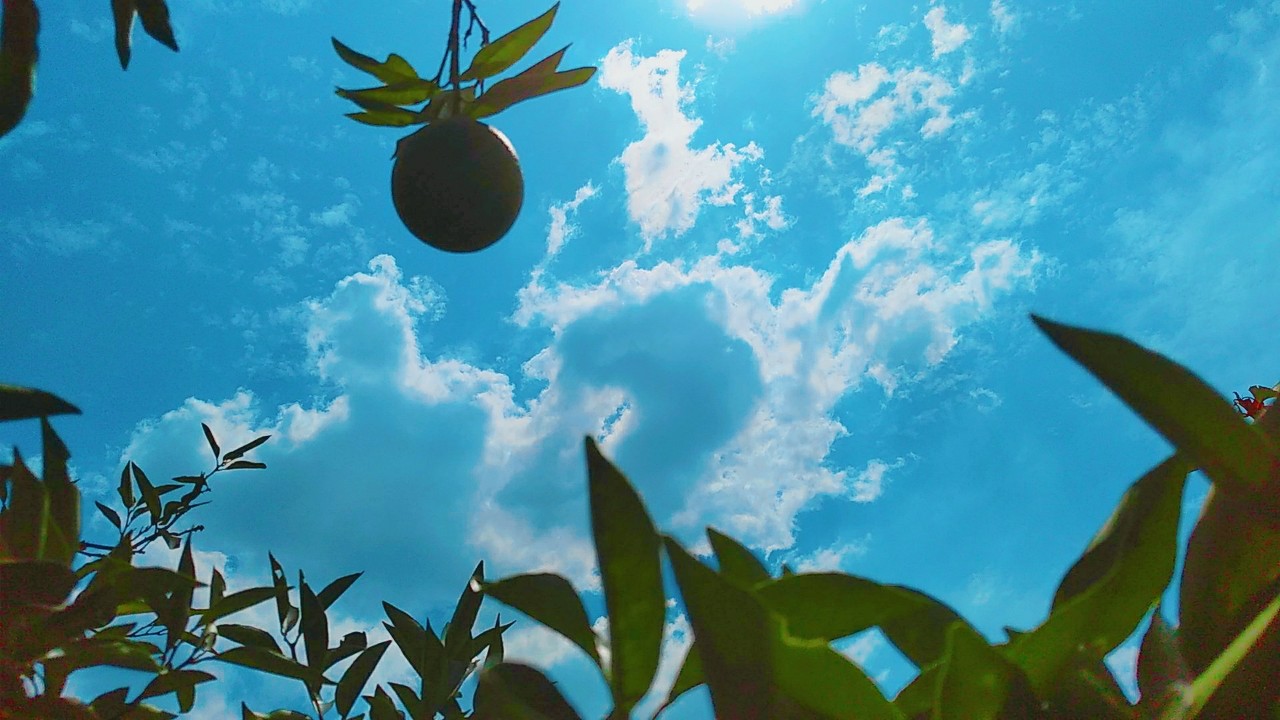 hexo配置robots.txt