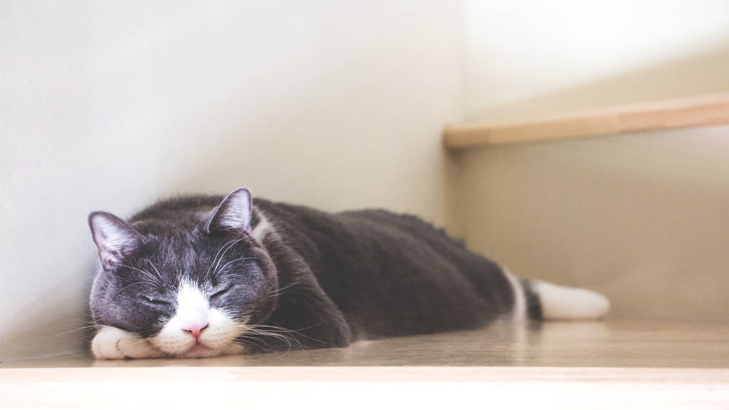 树莓派如何把TF卡迁移到另外一张TF卡（内存卡）