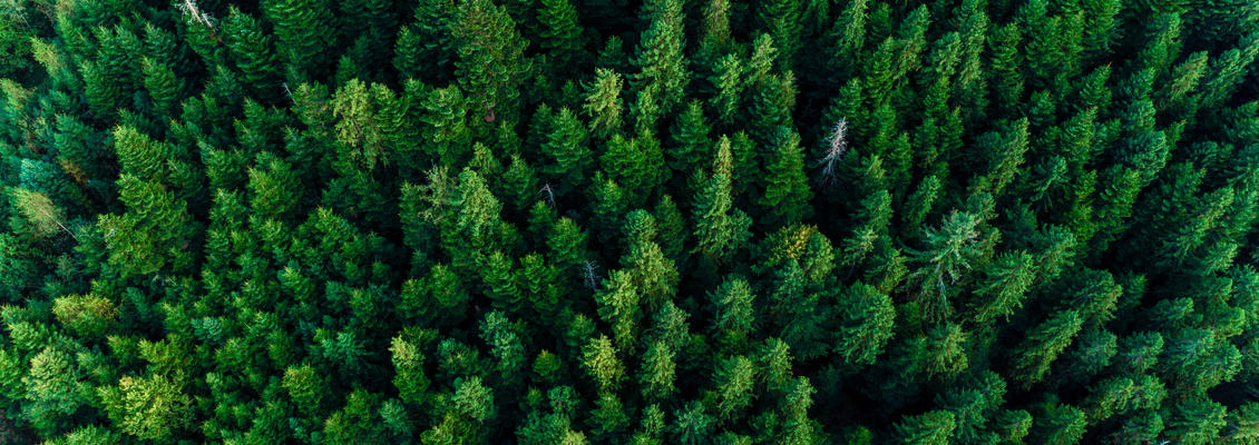 大疆 AIR 飞行器对频位置