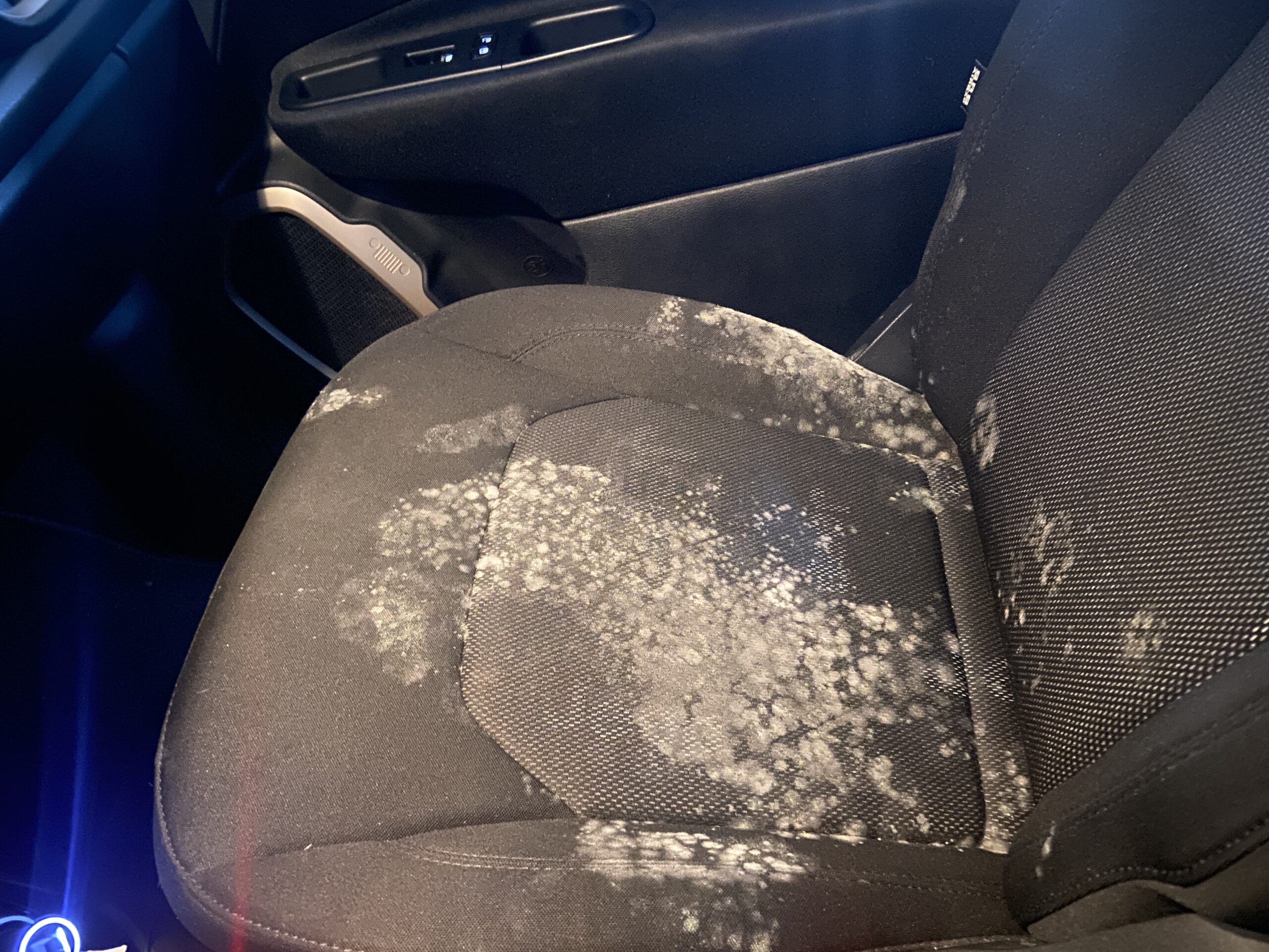 车好久没开，居然发霉了